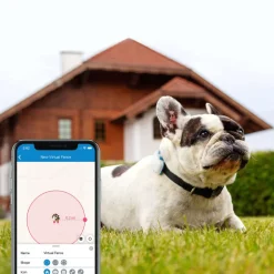 Tractive GPS Tracker DOG 4 für Hunde
