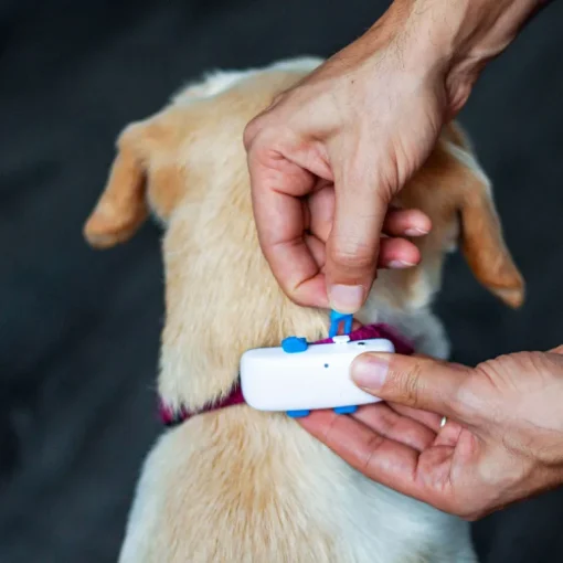 Tractive GPS Tracker DOG 4 für Hunde