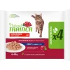 Trainer Natural Katzenfutter in Sauce