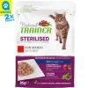 Trainer Sterilised in Sauce 85g Beutel
