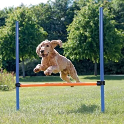 Trixie Activity Agility Hürde
