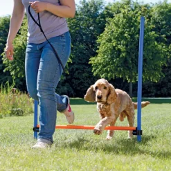 Trixie Activity Agility Hürde