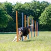 Trixie Dog Activity Agility Safer Slalom