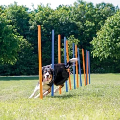 Trixie Dog Activity Agility Safer Slalom