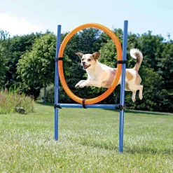 Trixie Dog Activity Agility Ring