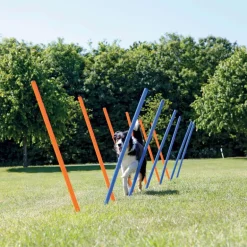 Trixie Dog Activity Agility Safer Slalom