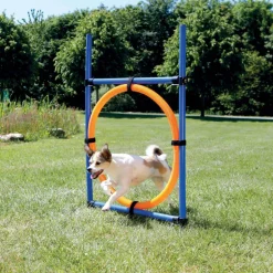 Trixie Dog Activity Agility Ring