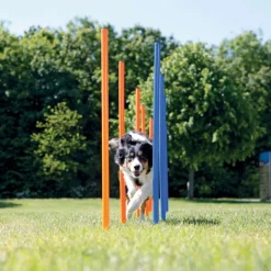 Trixie Dog Activity Agility Safer Slalom