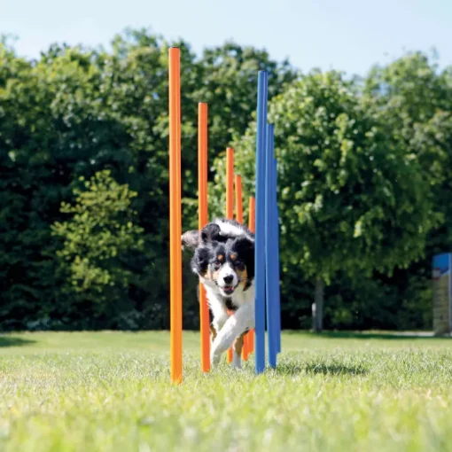 Trixie Dog Activity Agility Safer Slalom