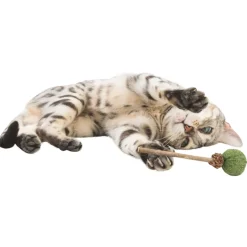 Trixie Katzenspielzeug Matatabi Lolli mit Katzenminze 11cm