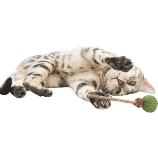 Trixie Katzenspielzeug Matatabi Lolli mit Katzenminze 11cm