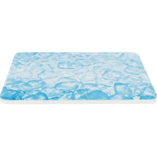 Trixie Kühlplatte für Hamster 20x15cm blau
