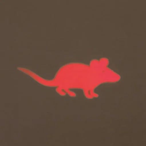 Trixie LED Pointer Catch the Light Maus 11cm