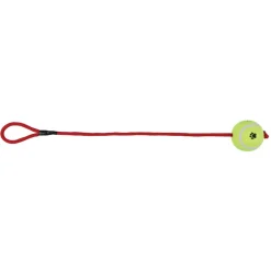 Trixie Tennisball am Seil D=6cm/50cm
