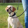 Trixie TopTrainer Ausbildungsgeschirr schwarz