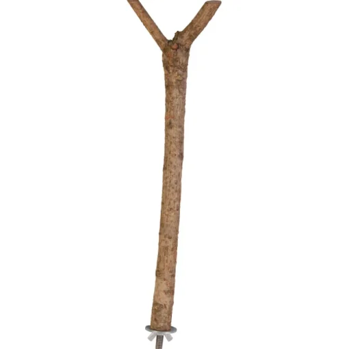 Trixie Y-Form Sitzstange für Vögel Naturholz 35cm