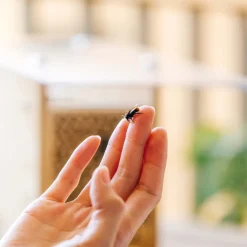 Wildbiene+Partner AG BeeHome Classic Insektenhotel für Wildbienen